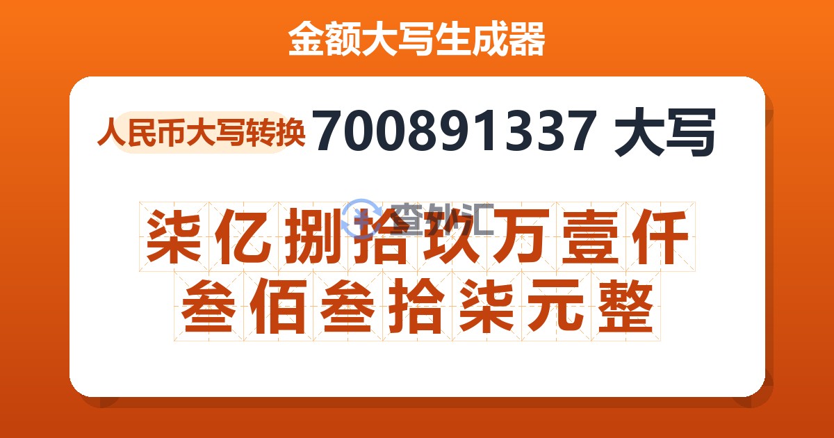 700891337大写 柒亿捌拾玖万壹仟叁佰叁拾柒元整
