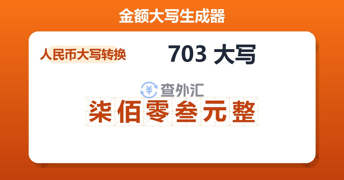 703大写 柒佰零叁元整