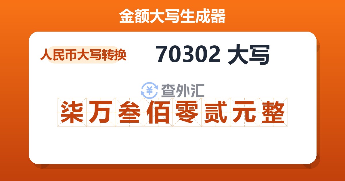 70302大写 柒万叁佰零贰元整