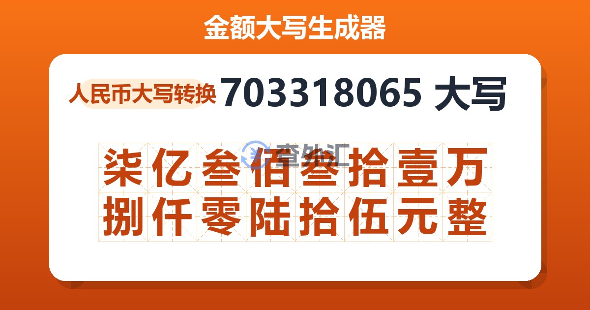 703318065大写 柒亿叁佰叁拾壹万捌仟零陆拾伍元整