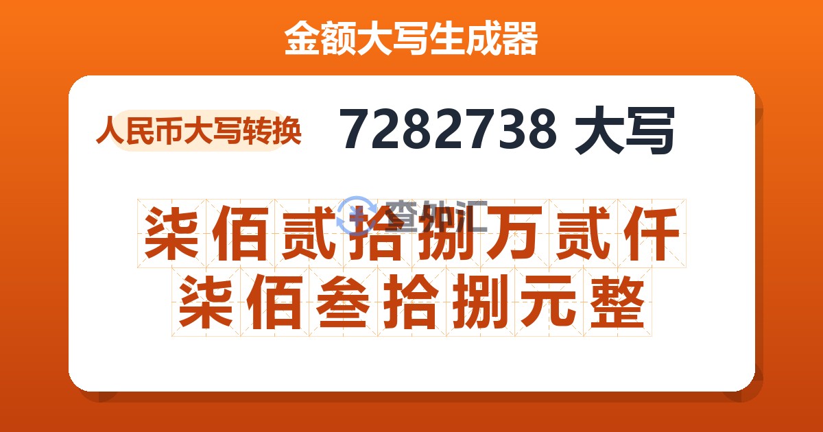 7282738大写 柒佰贰拾捌万贰仟柒佰叁拾捌元整