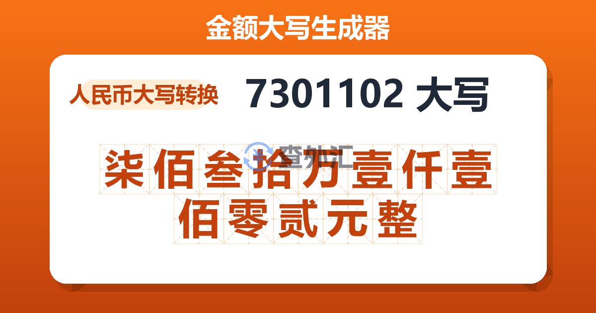 7301102大写 柒佰叁拾万壹仟壹佰零贰元整
