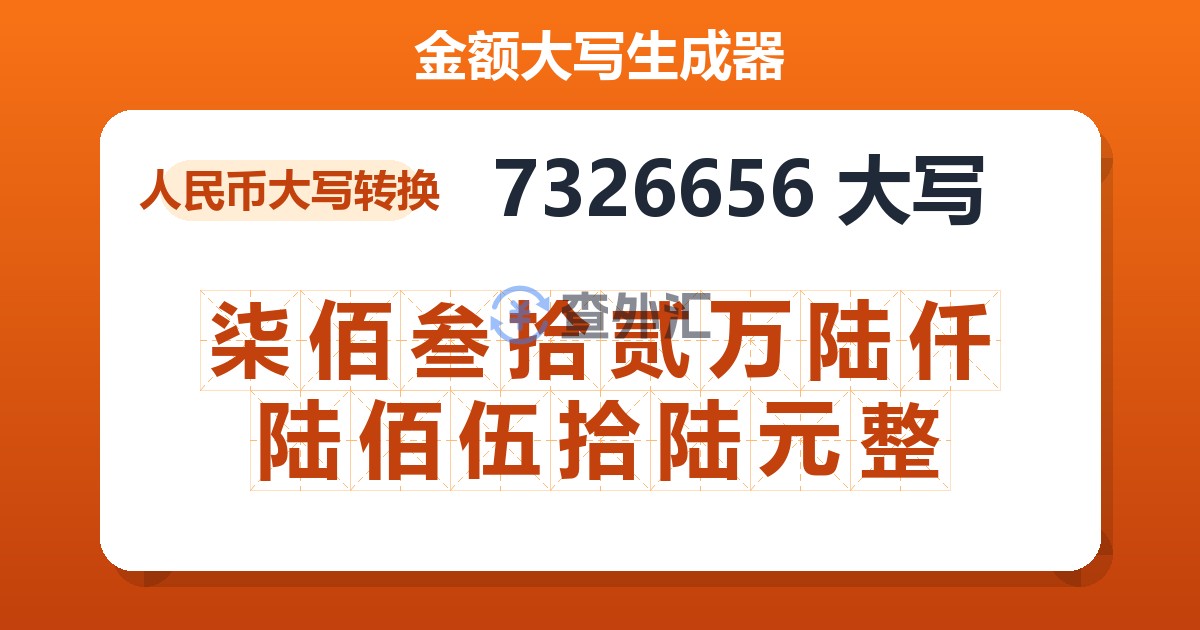 7326656大写 柒佰叁拾贰万陆仟陆佰伍拾陆元整