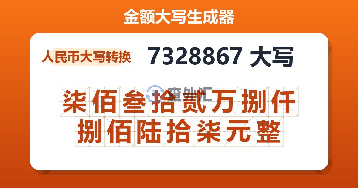 7328867大写 柒佰叁拾贰万捌仟捌佰陆拾柒元整