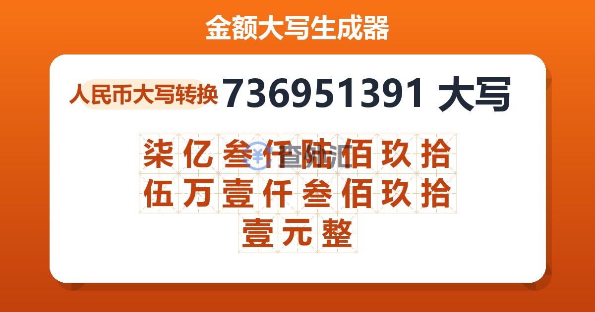 736951391大写 柒亿叁仟陆佰玖拾伍万壹仟叁佰玖拾壹元整