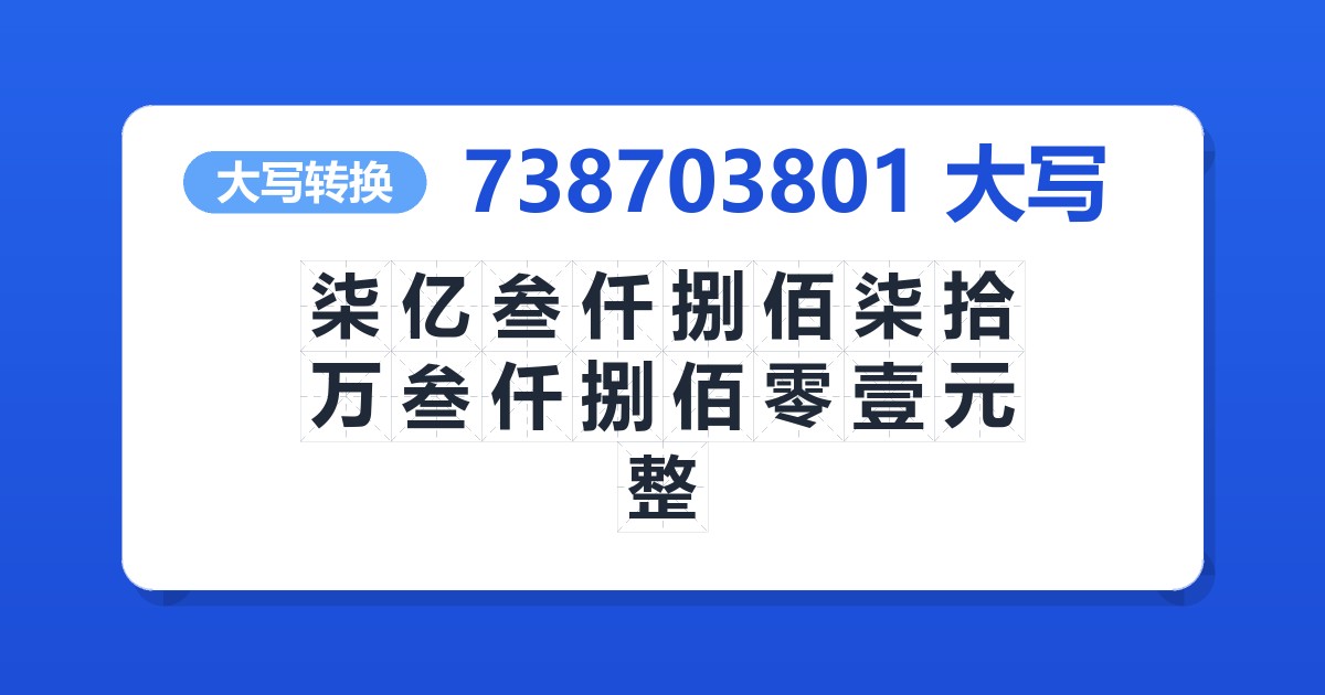 738703801大写 柒亿叁仟捌佰柒拾万叁仟捌佰零壹元整