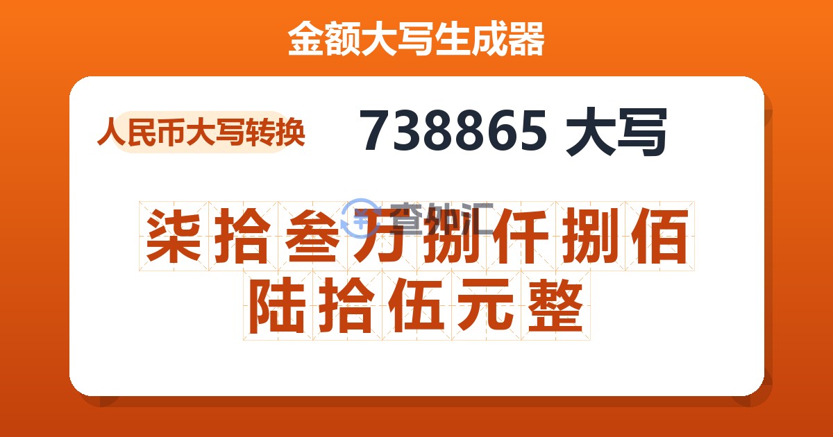 738865大写 柒拾叁万捌仟捌佰陆拾伍元整