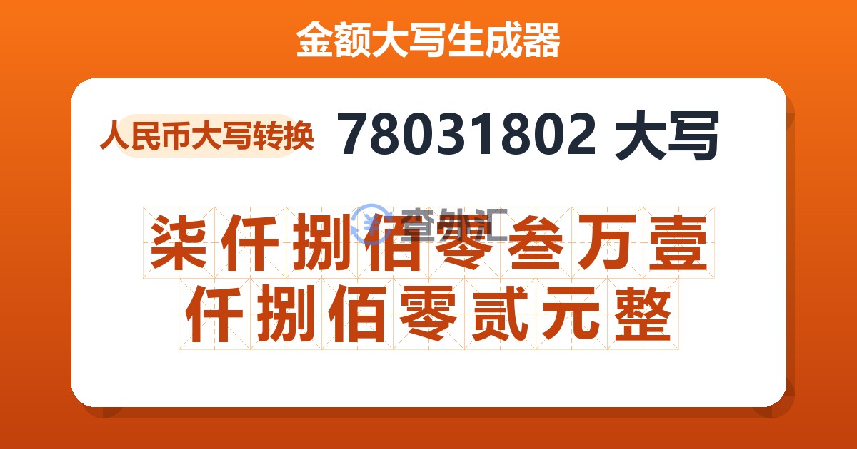 78031802大写 柒仟捌佰零叁万壹仟捌佰零贰元整