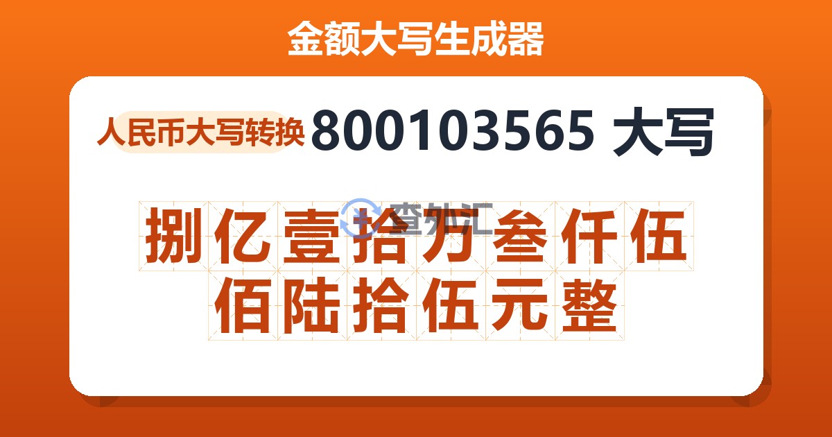 800103565大写 捌亿壹拾万叁仟伍佰陆拾伍元整