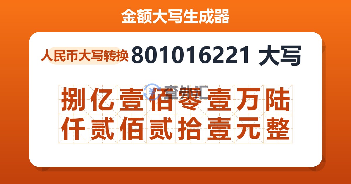 801016221大写 捌亿壹佰零壹万陆仟贰佰贰拾壹元整