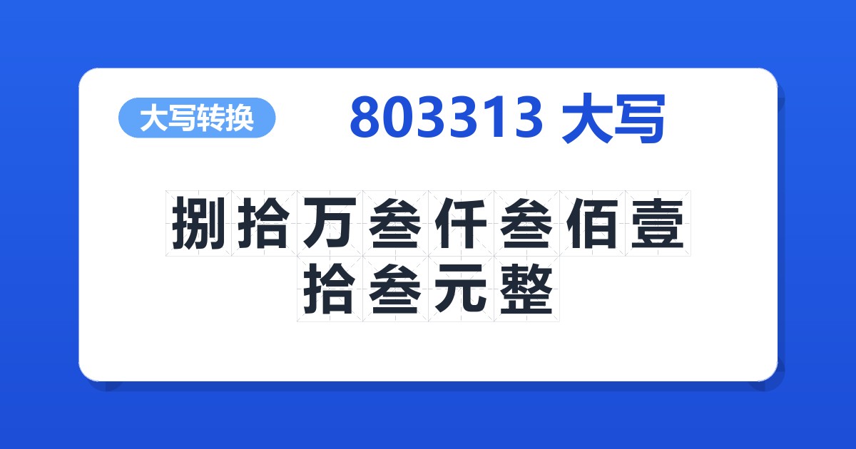 803313大写 捌拾万叁仟叁佰壹拾叁元整