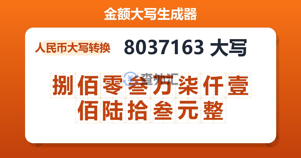 8037163大写 捌佰零叁万柒仟壹佰陆拾叁元整