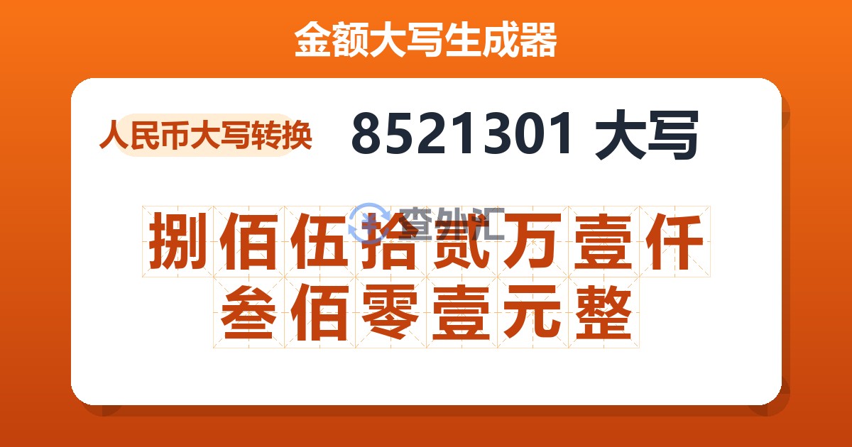 8521301大写 捌佰伍拾贰万壹仟叁佰零壹元整