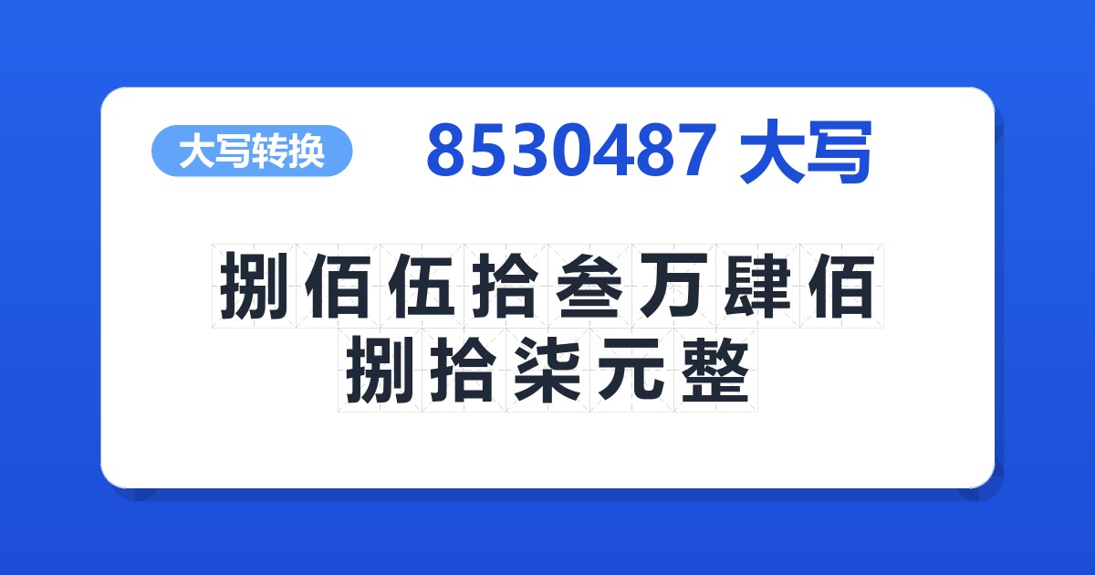 8530487大写 捌佰伍拾叁万肆佰捌拾柒元整