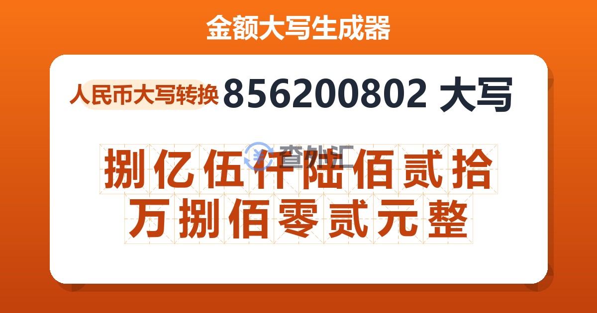 856200802大写 捌亿伍仟陆佰贰拾万捌佰零贰元整