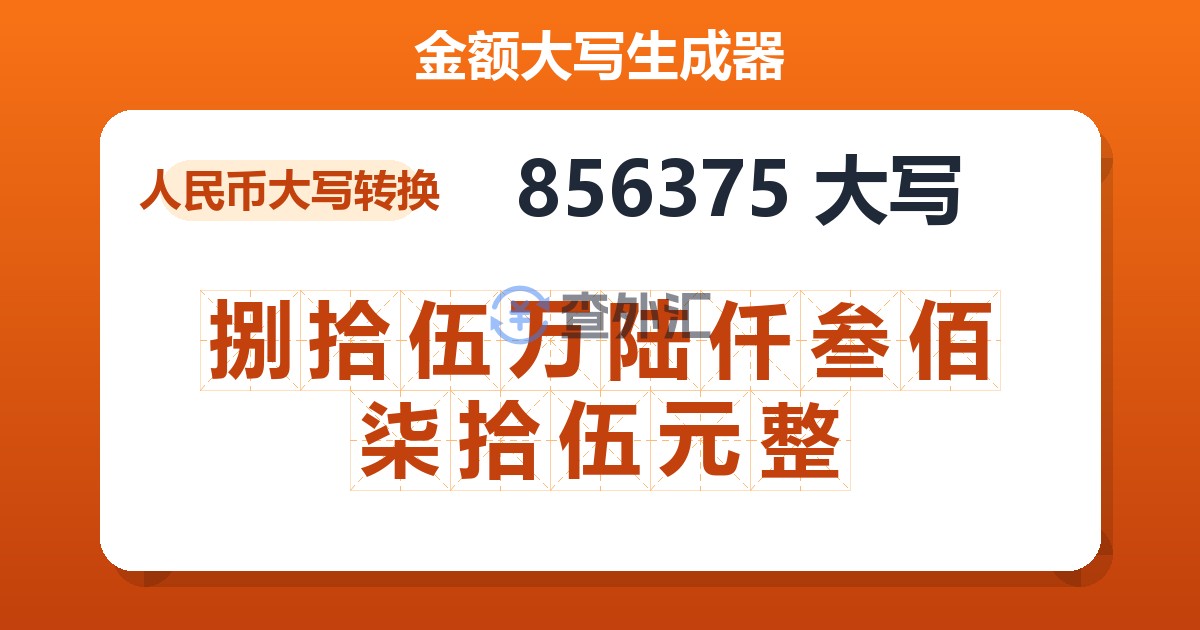 856375大写 捌拾伍万陆仟叁佰柒拾伍元整