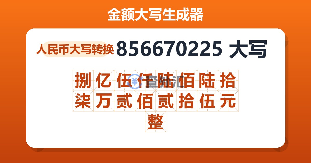 856670225大写 捌亿伍仟陆佰陆拾柒万贰佰贰拾伍元整
