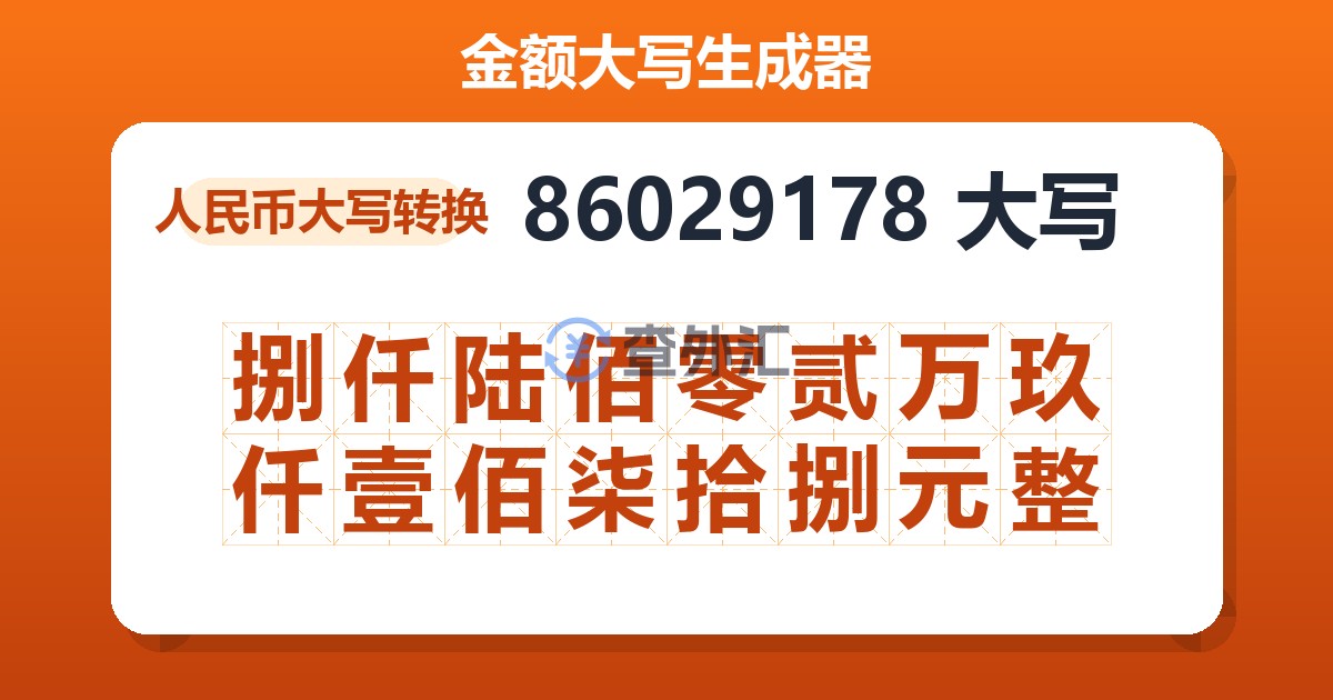 86029178大写 捌仟陆佰零贰万玖仟壹佰柒拾捌元整