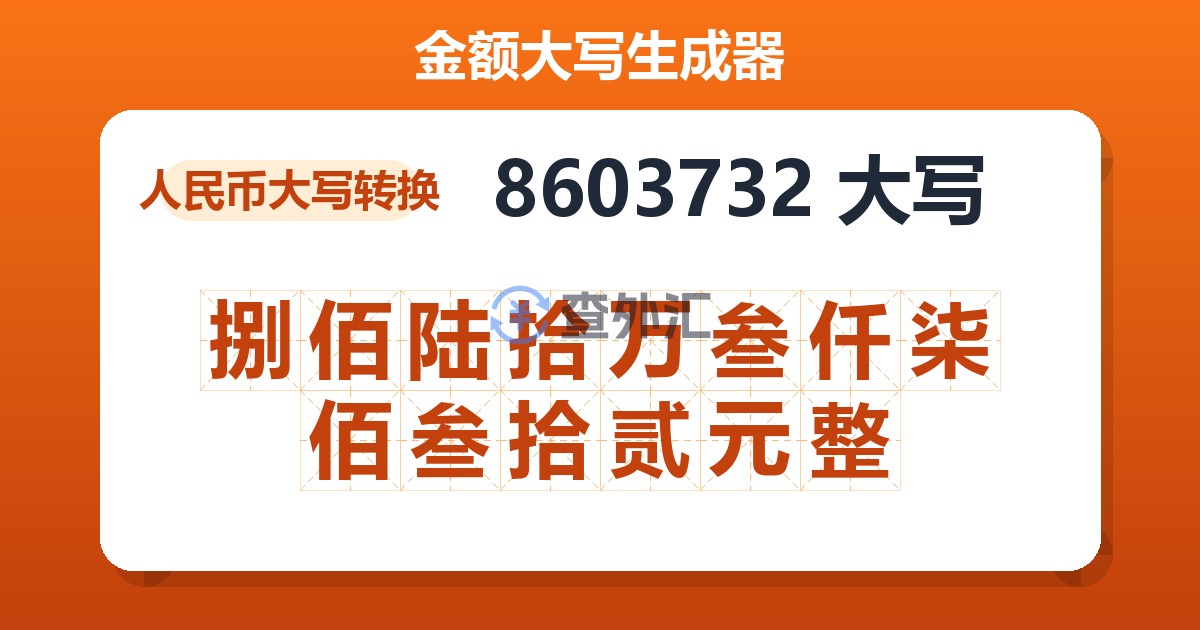 8603732大写 捌佰陆拾万叁仟柒佰叁拾贰元整