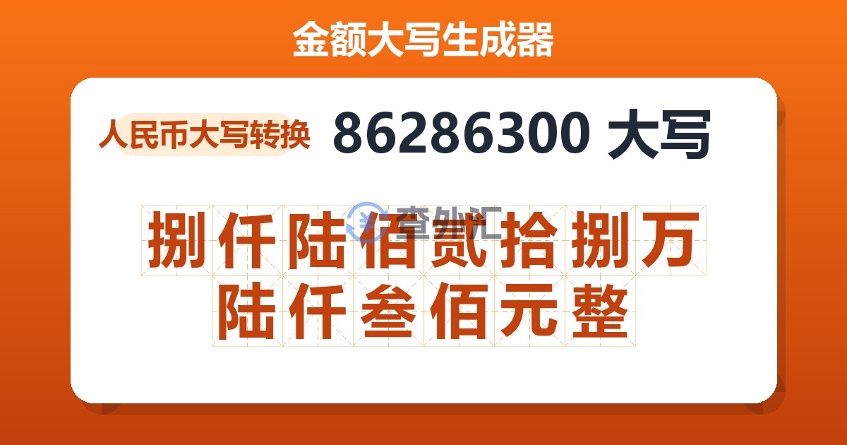 86286300大写 捌仟陆佰贰拾捌万陆仟叁佰元整