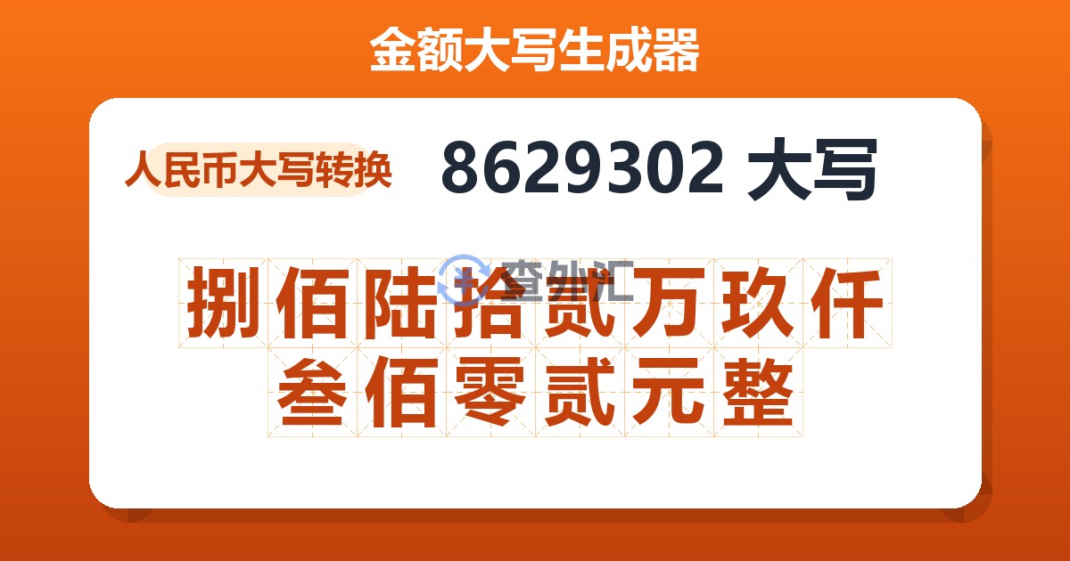 8629302大写 捌佰陆拾贰万玖仟叁佰零贰元整