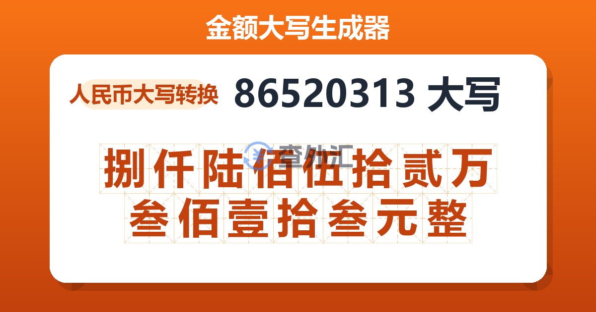 86520313大写 捌仟陆佰伍拾贰万叁佰壹拾叁元整