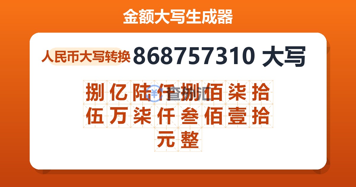 868757310大写 捌亿陆仟捌佰柒拾伍万柒仟叁佰壹拾元整