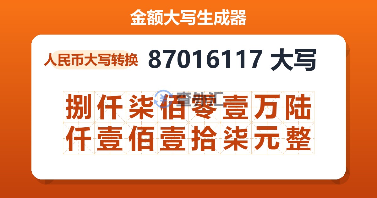 87016117大写 捌仟柒佰零壹万陆仟壹佰壹拾柒元整