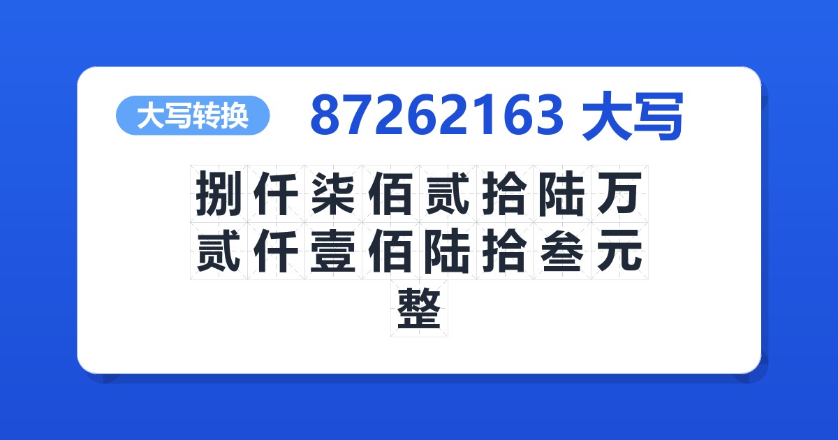87262163大写 捌仟柒佰贰拾陆万贰仟壹佰陆拾叁元整