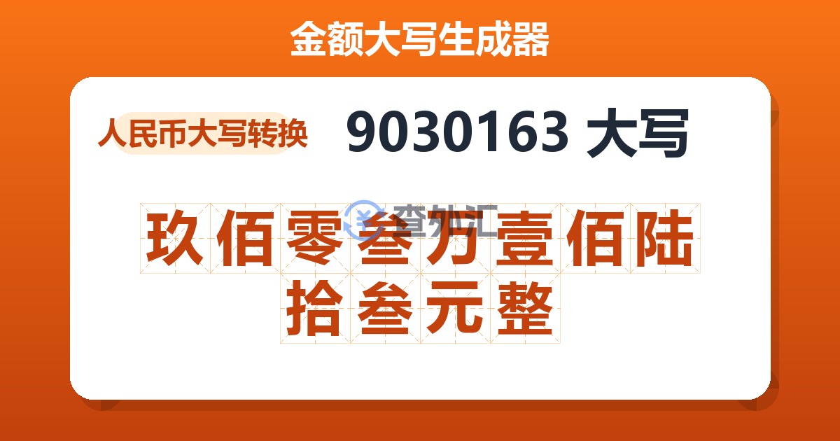 9030163大写 玖佰零叁万壹佰陆拾叁元整