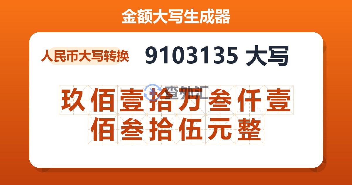 9103135大写 玖佰壹拾万叁仟壹佰叁拾伍元整