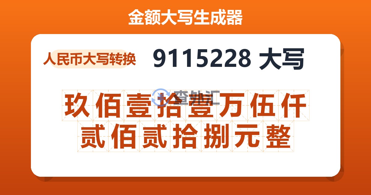 9115228大写 玖佰壹拾壹万伍仟贰佰贰拾捌元整