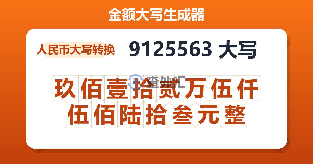 9125563大写 玖佰壹拾贰万伍仟伍佰陆拾叁元整