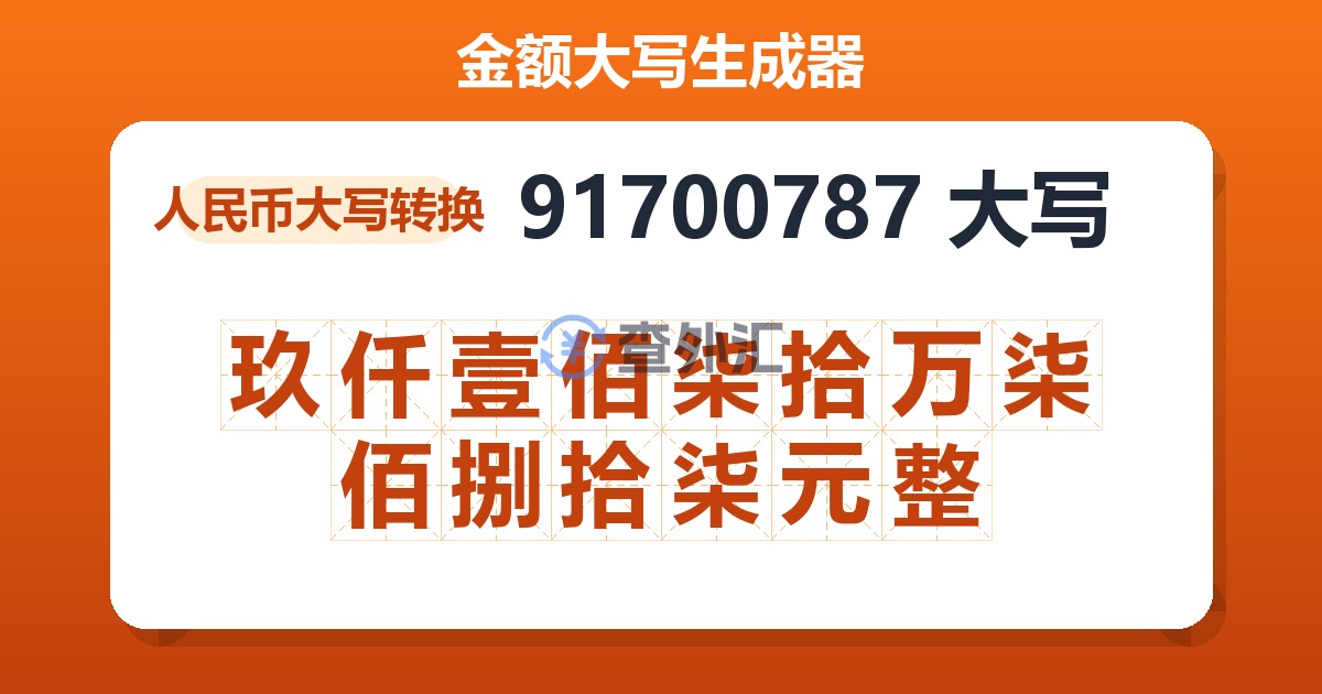 91700787大写 玖仟壹佰柒拾万柒佰捌拾柒元整