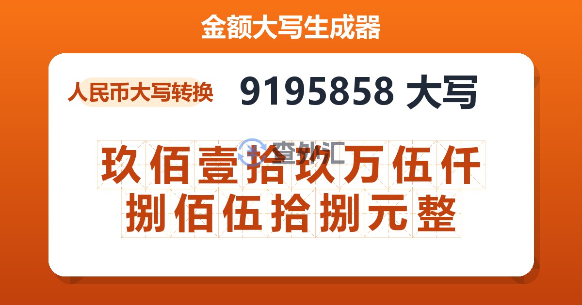 9195858大写 玖佰壹拾玖万伍仟捌佰伍拾捌元整