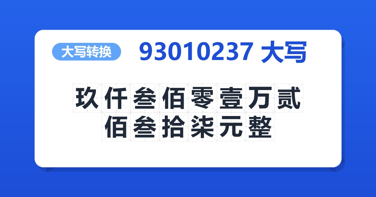 93010237大写 玖仟叁佰零壹万贰佰叁拾柒元整