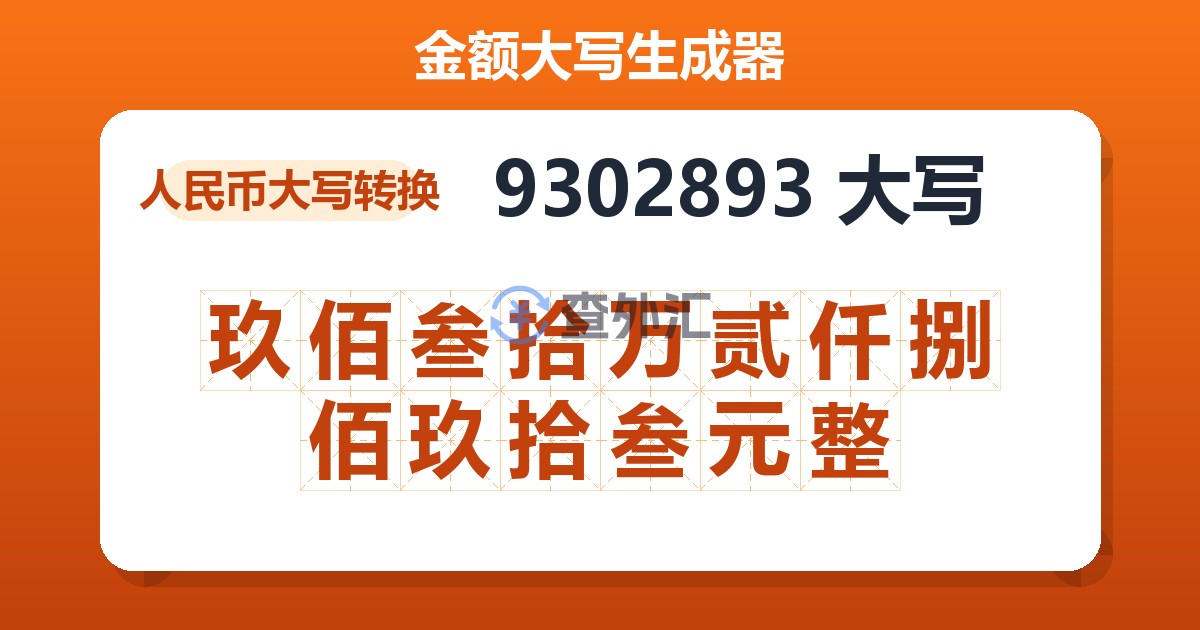 9302893大写 玖佰叁拾万贰仟捌佰玖拾叁元整
