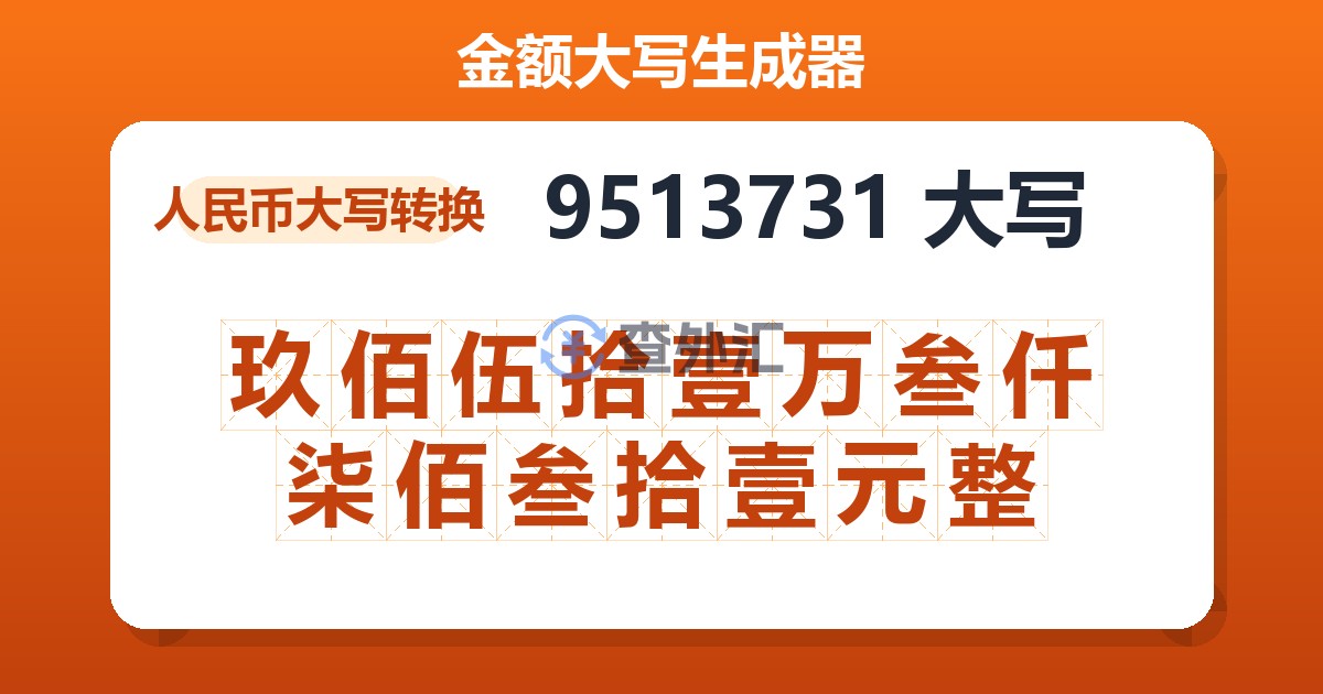 9513731大写 玖佰伍拾壹万叁仟柒佰叁拾壹元整