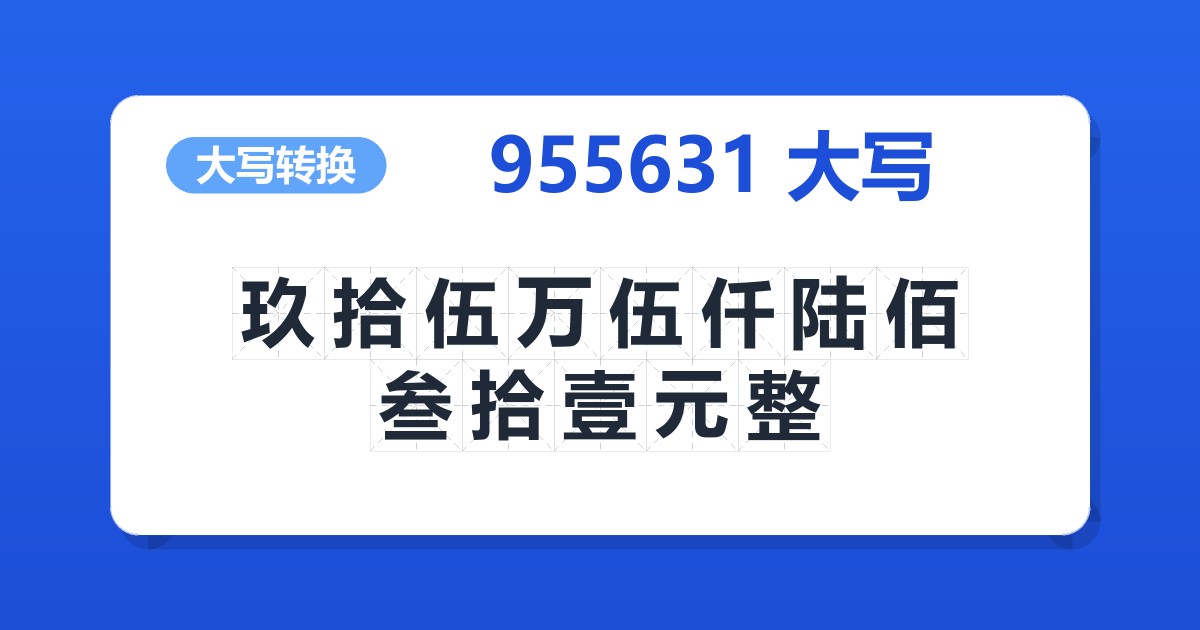 955631大写 玖拾伍万伍仟陆佰叁拾壹元整