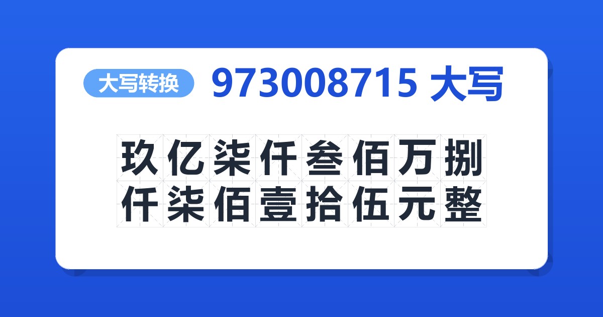 973008715大写 玖亿柒仟叁佰万捌仟柒佰壹拾伍元整