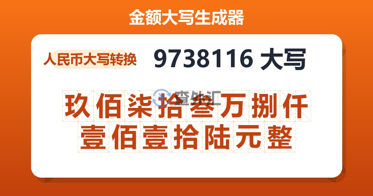 9738116大写 玖佰柒拾叁万捌仟壹佰壹拾陆元整