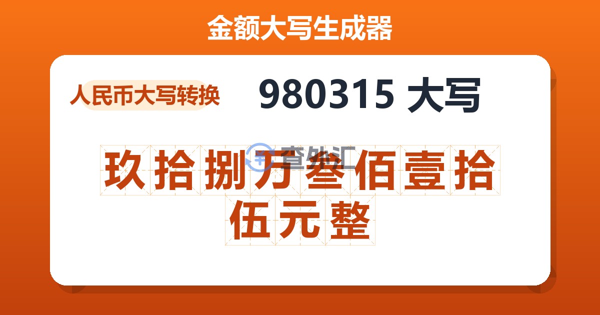 980315大写 玖拾捌万叁佰壹拾伍元整