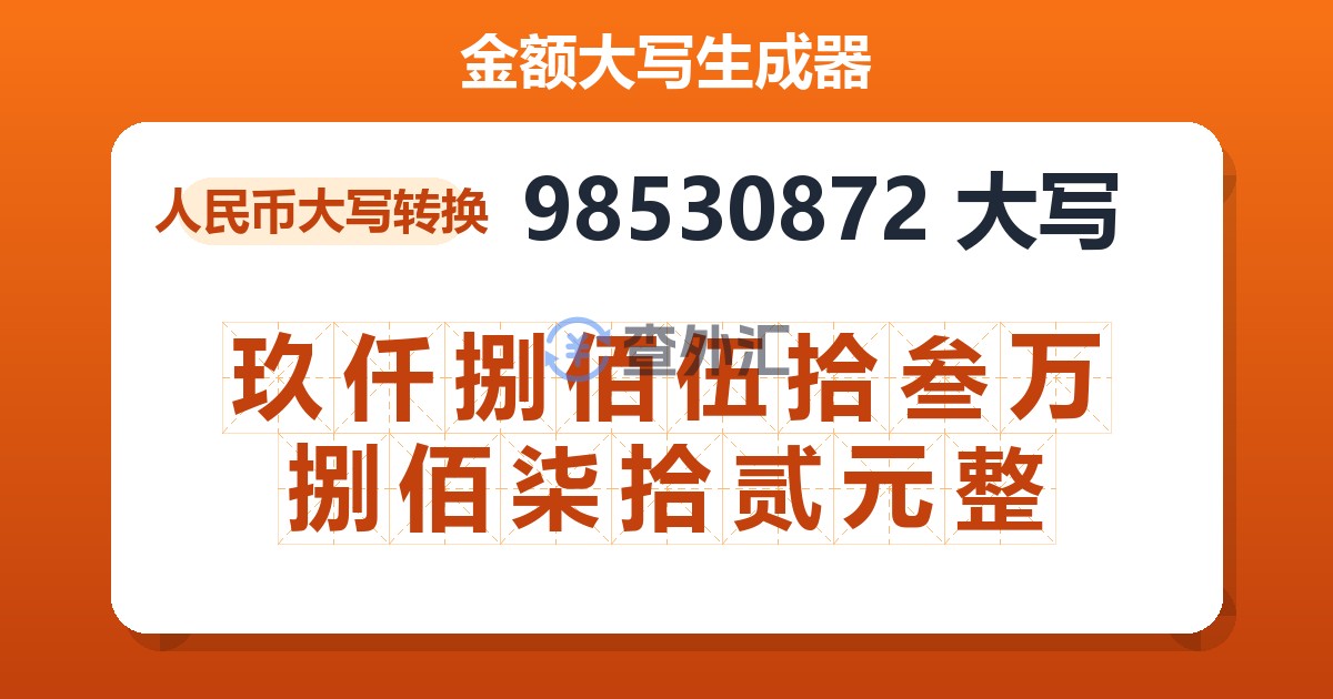 98530872大写 玖仟捌佰伍拾叁万捌佰柒拾贰元整