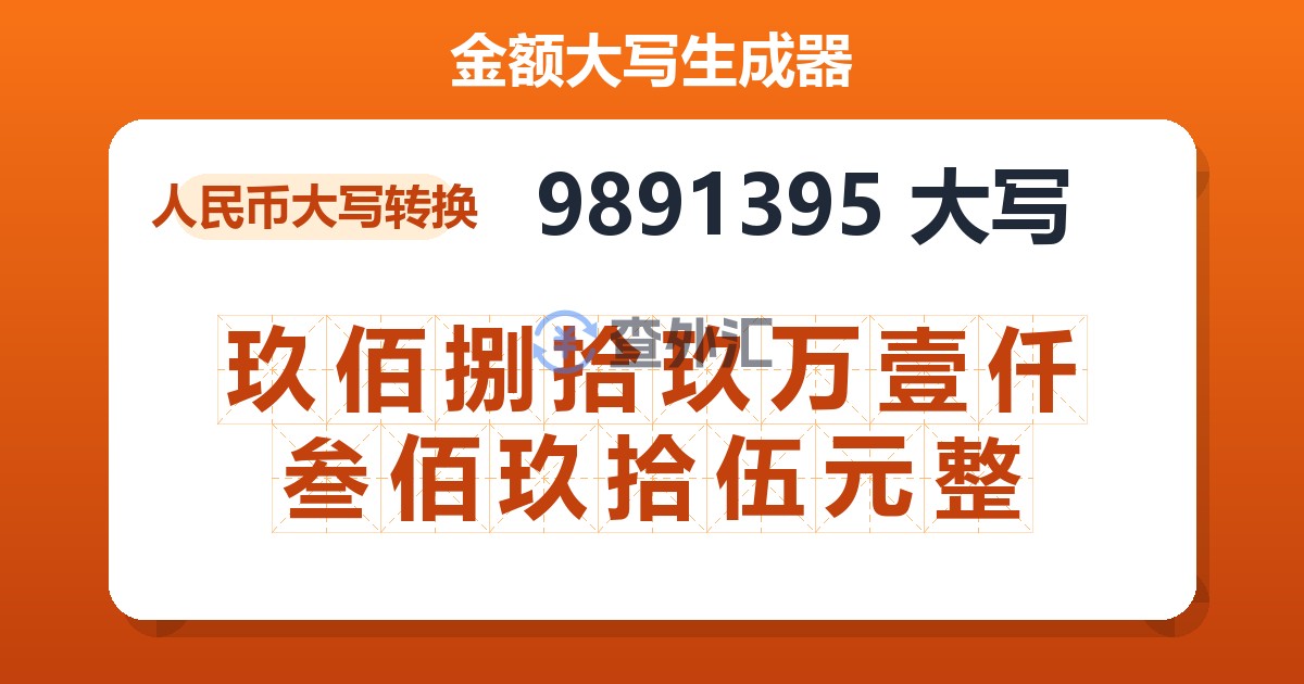 9891395大写 玖佰捌拾玖万壹仟叁佰玖拾伍元整